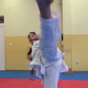 Andriana karate action-3850